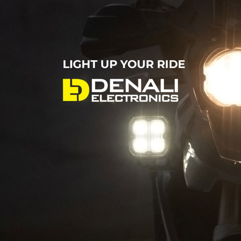 Denali Lights