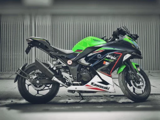 Barrel Exhaust Rogue V1 Ninja 300 400 (Steel)